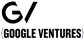 GV (Google Ventures)